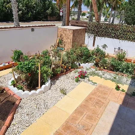 Maria Petounta * Larnaca